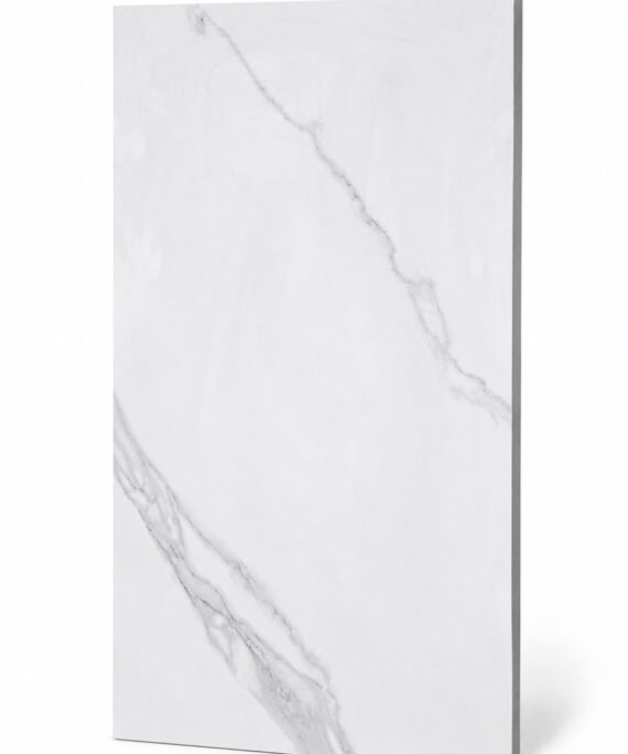 PLLAKE PAMESA WHITE MT 60X120
